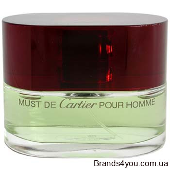 Cartier_Must_de_Cartier_pour_Homme_tester_100_ML_354.jpg