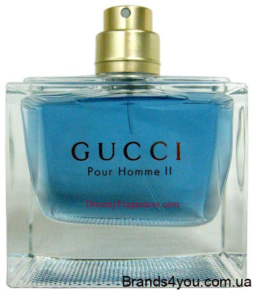 gucci-pour-homme-II-100-tester-2.1920x1920.jpg