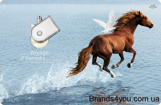 voyage_hermes_horse.png