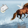 voyage_hermes_horse.png