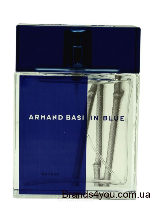 armand-basi-in-blue---tualetnaja-voda-tester-s-kryshechkoj-9694-20130726002627.jpg
