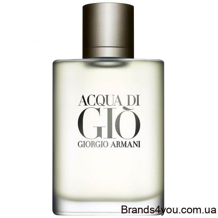 giorgio-armani-acqua-di-gio-pour-homme-100ml.jpg
