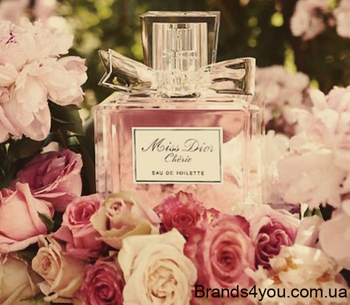 miss-dior-and-roses.jpg miss-dior-and-roses.jpg