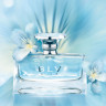 Bvlgari_BLV_DETE590d.jpg Bvlgari_BLV_DETE590d.jpg